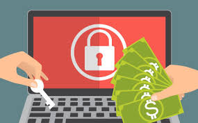 Phần mềm độc hại: cách phòng tránh hiệu quả