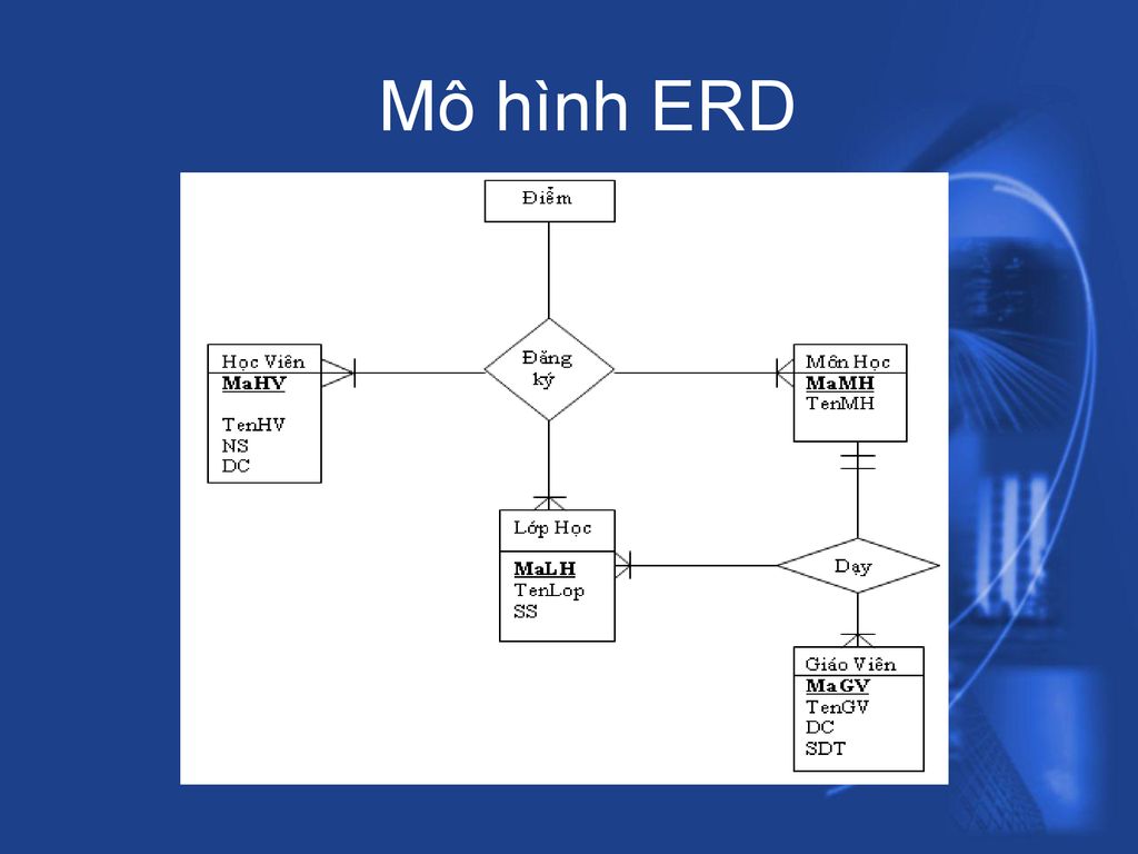 Sơ đồ ERD: Hướng dẫn chi tiết và ứng dụng trong thiết kế cơ sở dữ liệu