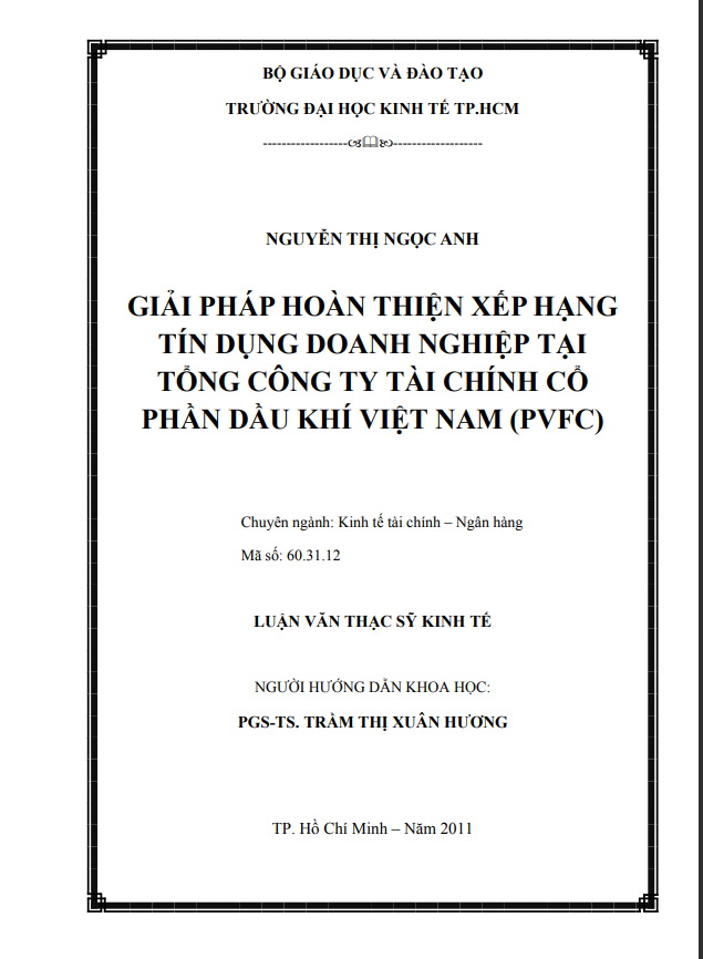 Kết luận Trong bối cảnh hiện nay, khi có nhiều tác nhân dẫn đến khủng hoảng tài chính, hệ quả của nó là quá nhiều tín dụng và các chuẩn mực yếu kém trong việc cho vay. Yếu huyệt của hệ thống ngân hàng trong việc hình thành rủi ro này bắt nguồn từ việc lạm 