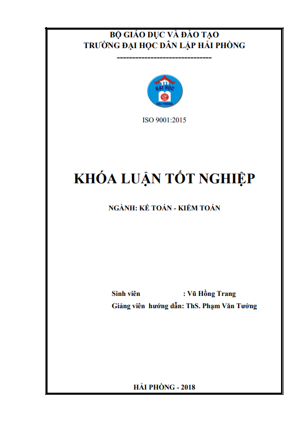 HOÀN THIỆN TỔ CHỨC KẾ TOÁN VỐN  TẠI CÔNG TY CỔ PHẦN ĐẦU TƯ SAO ĐỎ